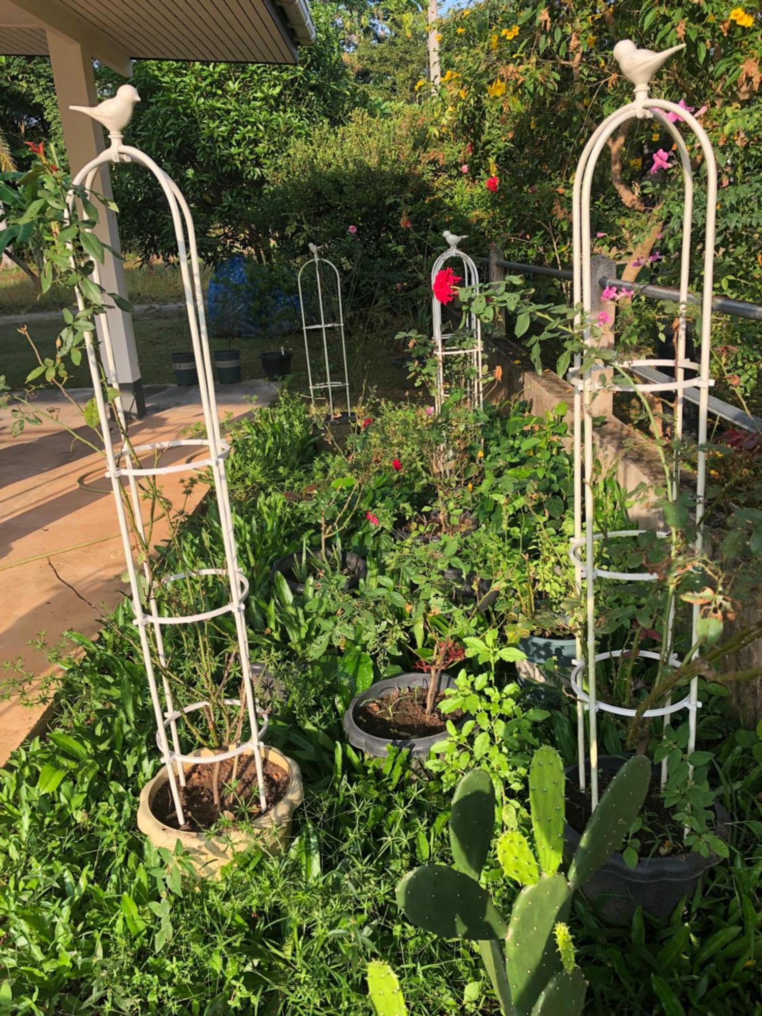Thanid House Ban Nai Khlong Экстерьер фото