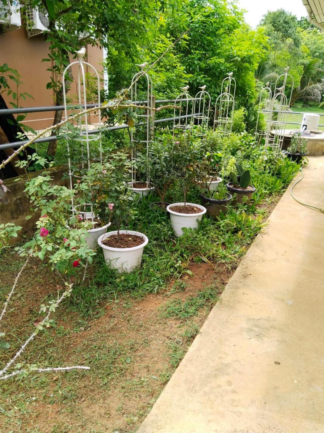 Thanid House Ban Nai Khlong Экстерьер фото