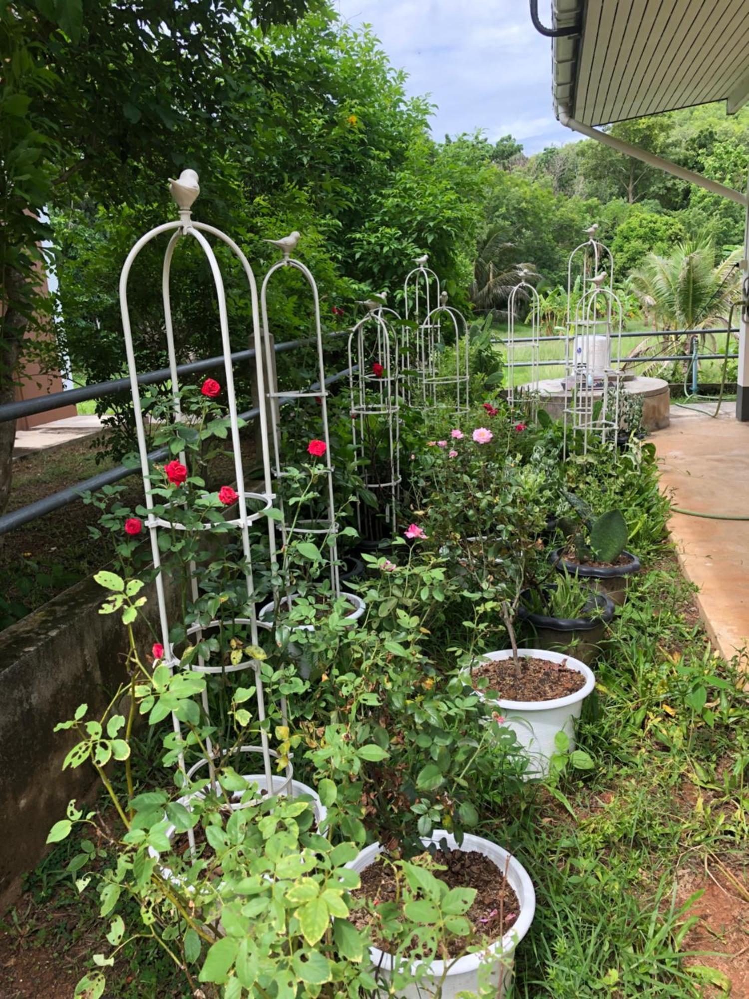 Thanid House Ban Nai Khlong Экстерьер фото